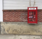 little-library-from-old-phone-booth